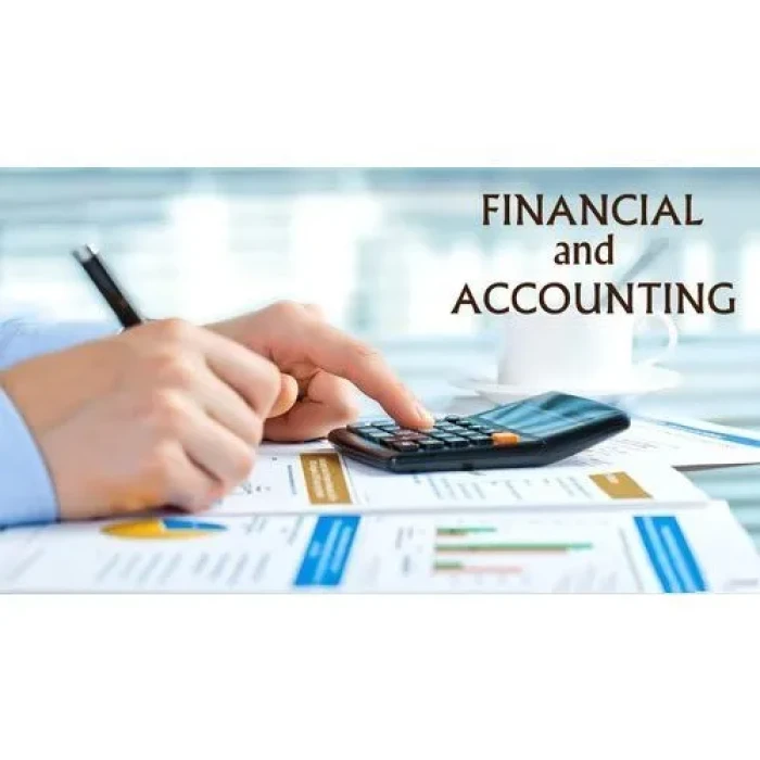 Diploma in Computer Professional Accountant